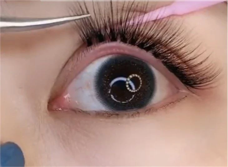 20D Cluster Lash